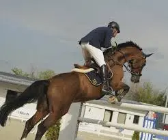 Jinete a caballo en una ruta por la campiña de Vejer de la Frontera