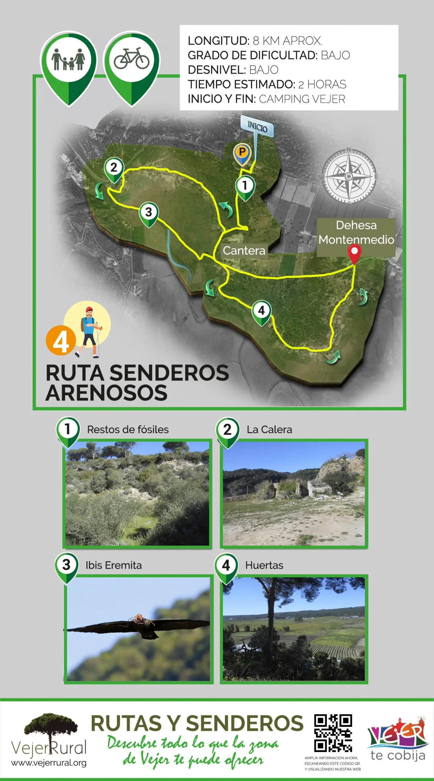 Senderos arenosos entre pinares y monte bajo con el Ibis Eremita sobrevolando el paisaje